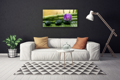 Quadro canvas Pedras de flores Bambu Natureza