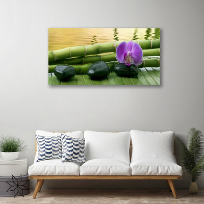 Quadro canvas Pedras de flores Bambu Natureza
