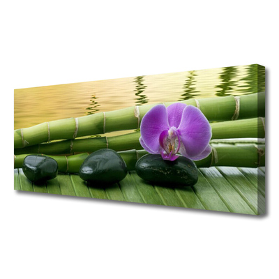 Quadro canvas Pedras de flores Bambu Natureza