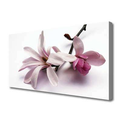 Quadro canvas Flores Planta Natureza
