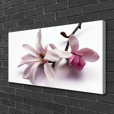 Quadro canvas Flores Planta Natureza