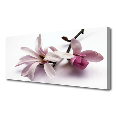 Quadro canvas Flores Planta Natureza