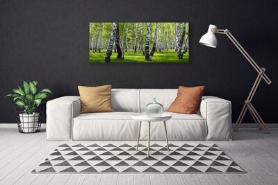 Quadro em tela Árvores da Floresta Natureza