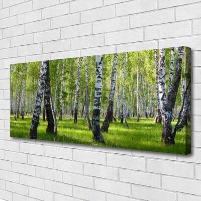 Quadro em tela Árvores da Floresta Natureza