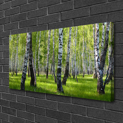 Quadro em tela Árvores da Floresta Natureza