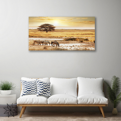 Quadro canvas Paisagem de safári de zebra