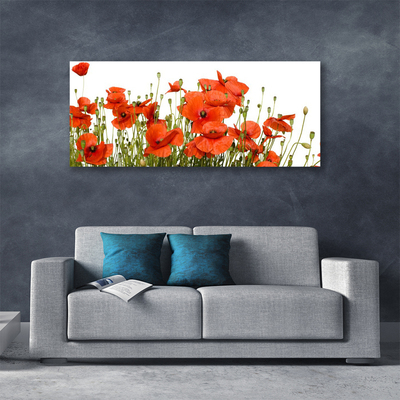 Quadro em tela Papoulas Plantam Natureza