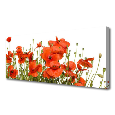 Quadro em tela Papoulas Plantam Natureza