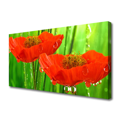 Quadro canvas Papoulas Plantam Natureza