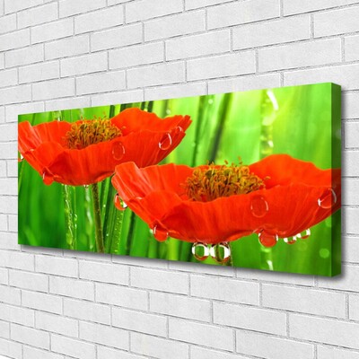 Quadro canvas Papoulas Plantam Natureza