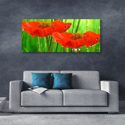 Quadro canvas Papoulas Plantam Natureza