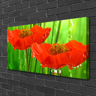 Quadro canvas Papoulas Plantam Natureza