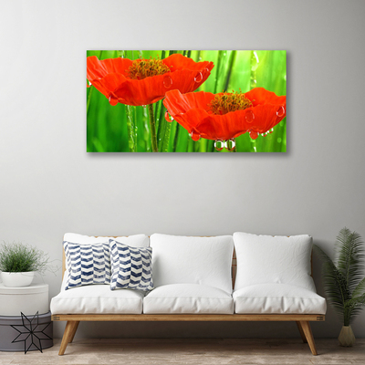 Quadro canvas Papoulas Plantam Natureza