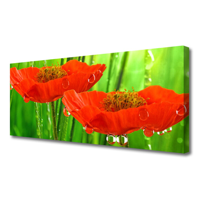 Quadro canvas Papoulas Plantam Natureza