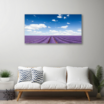 Quadro em tela Flores do Prado Natureza Planta