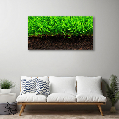 Quadro em tela Grama Natureza Planta