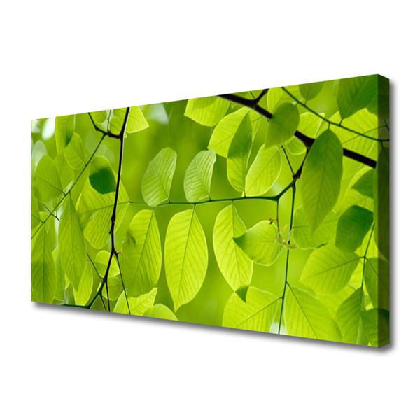 Quadro em tela Folhas Natureza Planta