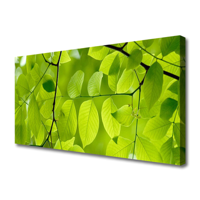 Quadro em tela Folhas Natureza Planta