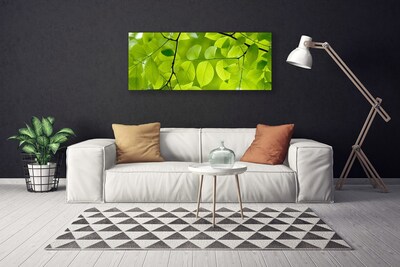 Quadro em tela Folhas Natureza Planta