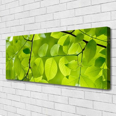Quadro em tela Folhas Natureza Planta