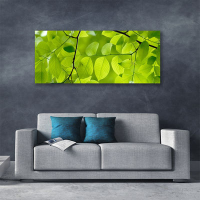 Quadro em tela Folhas Natureza Planta