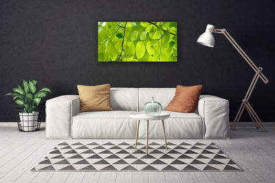 Quadro em tela Folhas Natureza Planta