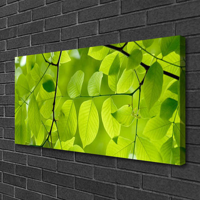 Quadro em tela Folhas Natureza Planta