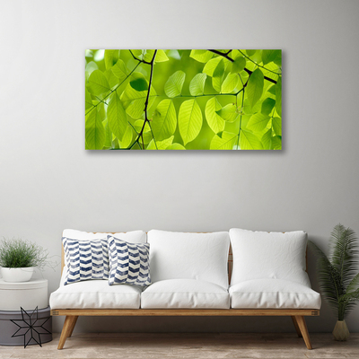 Quadro em tela Folhas Natureza Planta