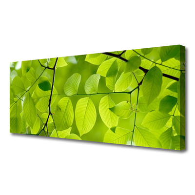 Quadro em tela Folhas Natureza Planta