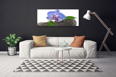 Quadro em tela Flor Planta Natureza