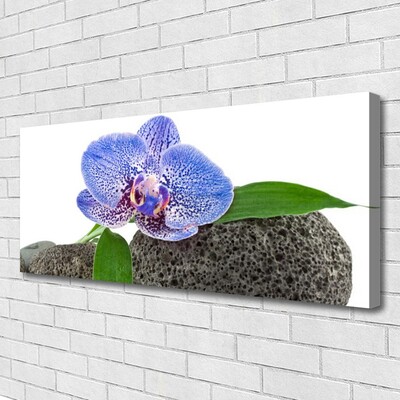 Quadro em tela Flor Planta Natureza