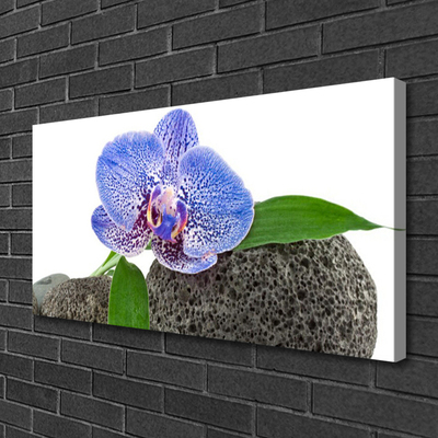 Quadro em tela Flor Planta Natureza