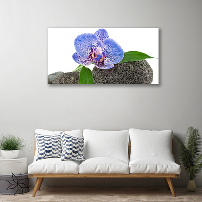 Quadro em tela Flor Planta Natureza