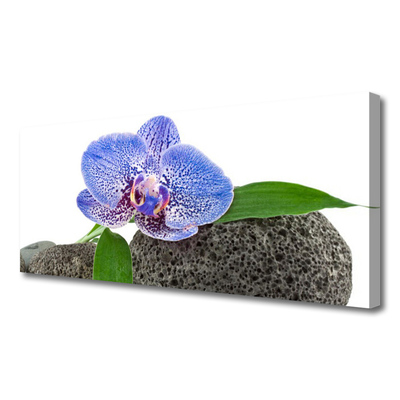 Quadro em tela Flor Planta Natureza