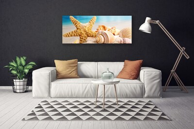 Quadro em tela Arte em conchas de estrelas do mar