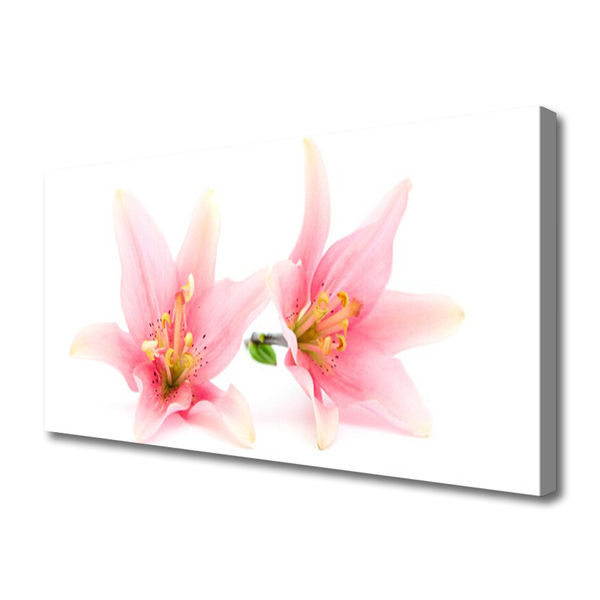 Quadro canvas Flores Planta Natureza