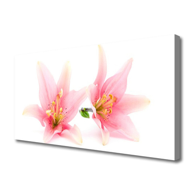 Quadro canvas Flores Planta Natureza