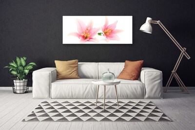 Quadro canvas Flores Planta Natureza