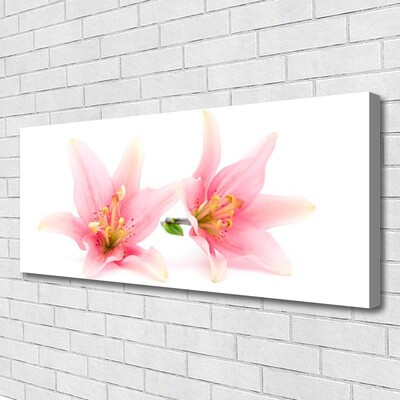 Quadro canvas Flores Planta Natureza