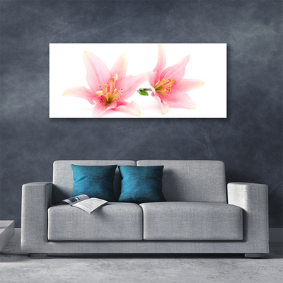 Quadro canvas Flores Planta Natureza