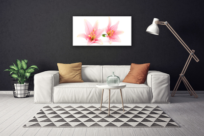 Quadro canvas Flores Planta Natureza