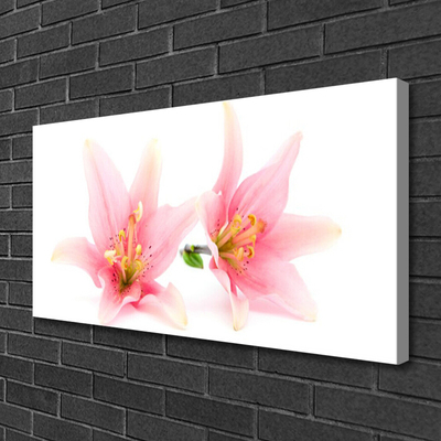 Quadro canvas Flores Planta Natureza