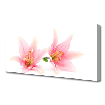 Quadro canvas Flores Planta Natureza