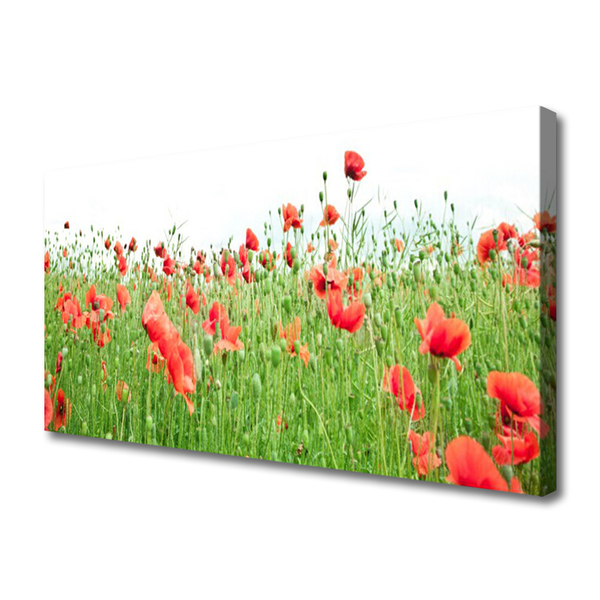 Quadro canvas Papoulas Plantam Natureza