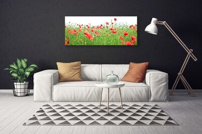 Quadro canvas Papoulas Plantam Natureza