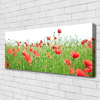 Quadro canvas Papoulas Plantam Natureza