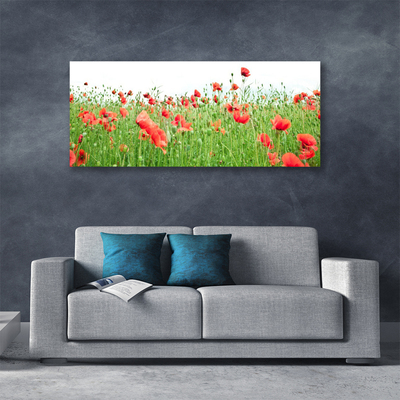 Quadro canvas Papoulas Plantam Natureza