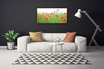 Quadro canvas Papoulas Plantam Natureza