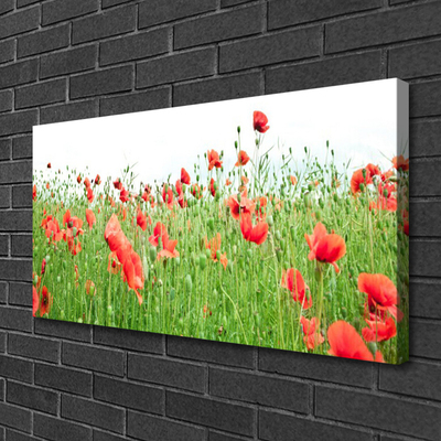 Quadro canvas Papoulas Plantam Natureza