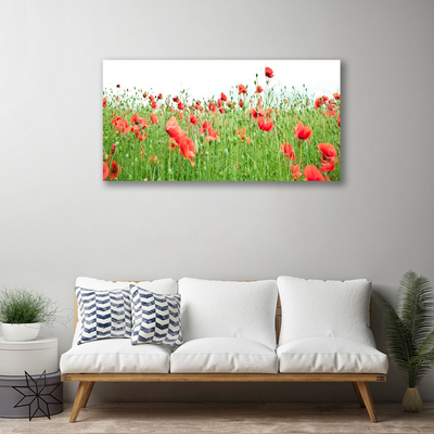 Quadro canvas Papoulas Plantam Natureza